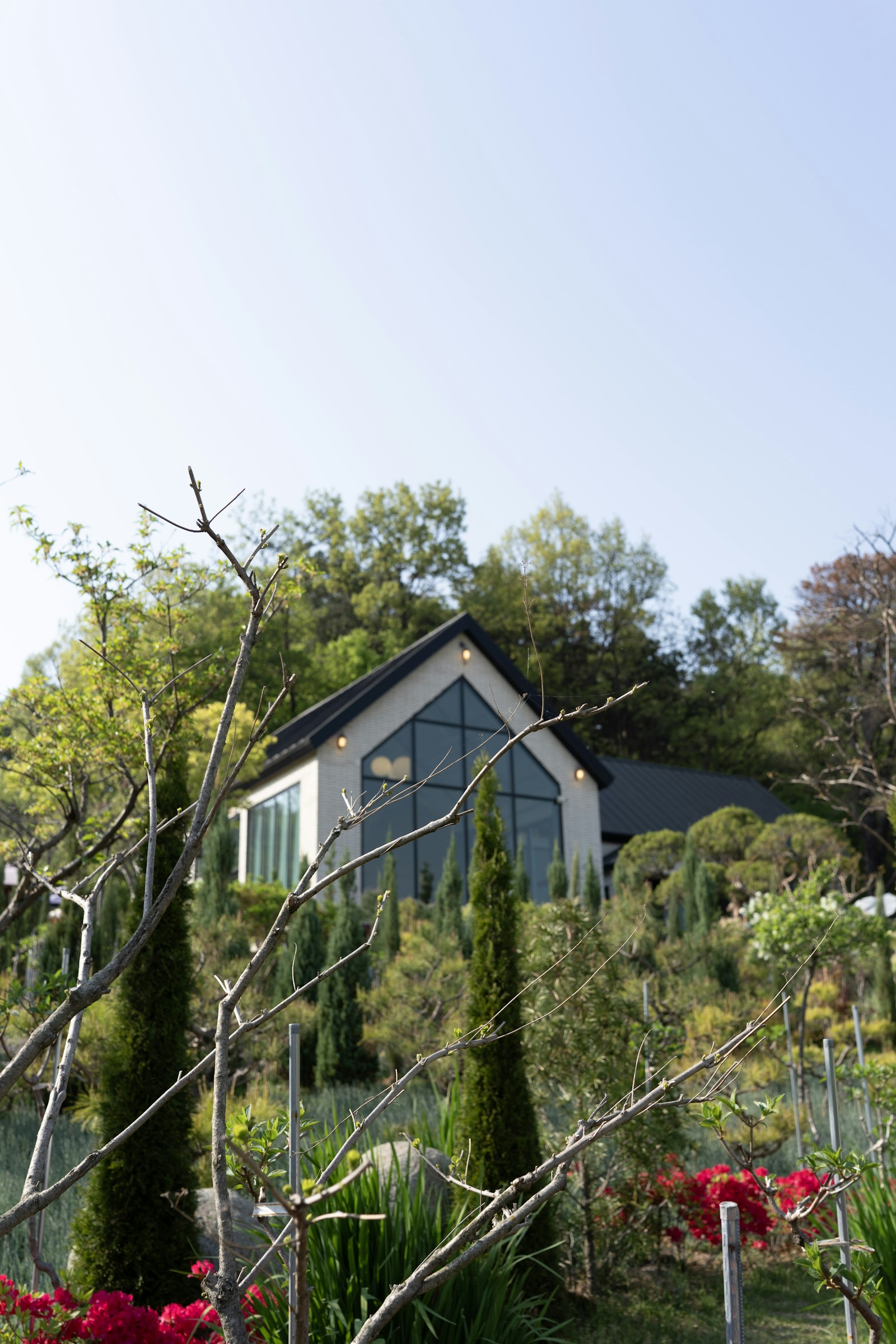 Modern home with large new windows